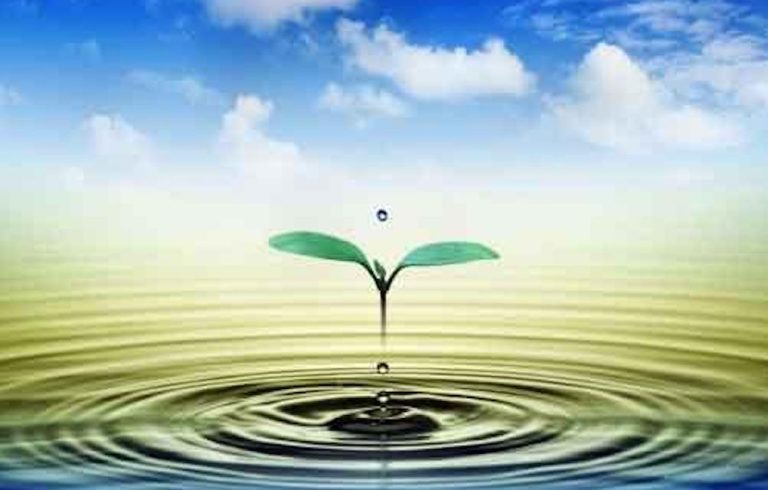 La natura del principio