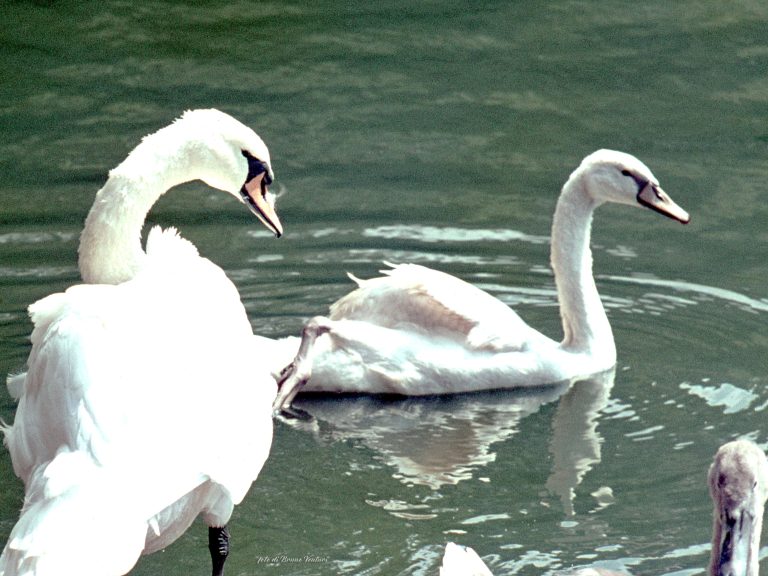 GRAZIA, FEDE E LETIZIA: UN EDIFICIO NASCOSTO